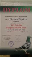 Pokaż zdjęcie w powiększeniu Gołębie zdjęcie