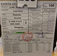 Pokaż zdjęcie w powiększeniu Gołębie zdjęcie